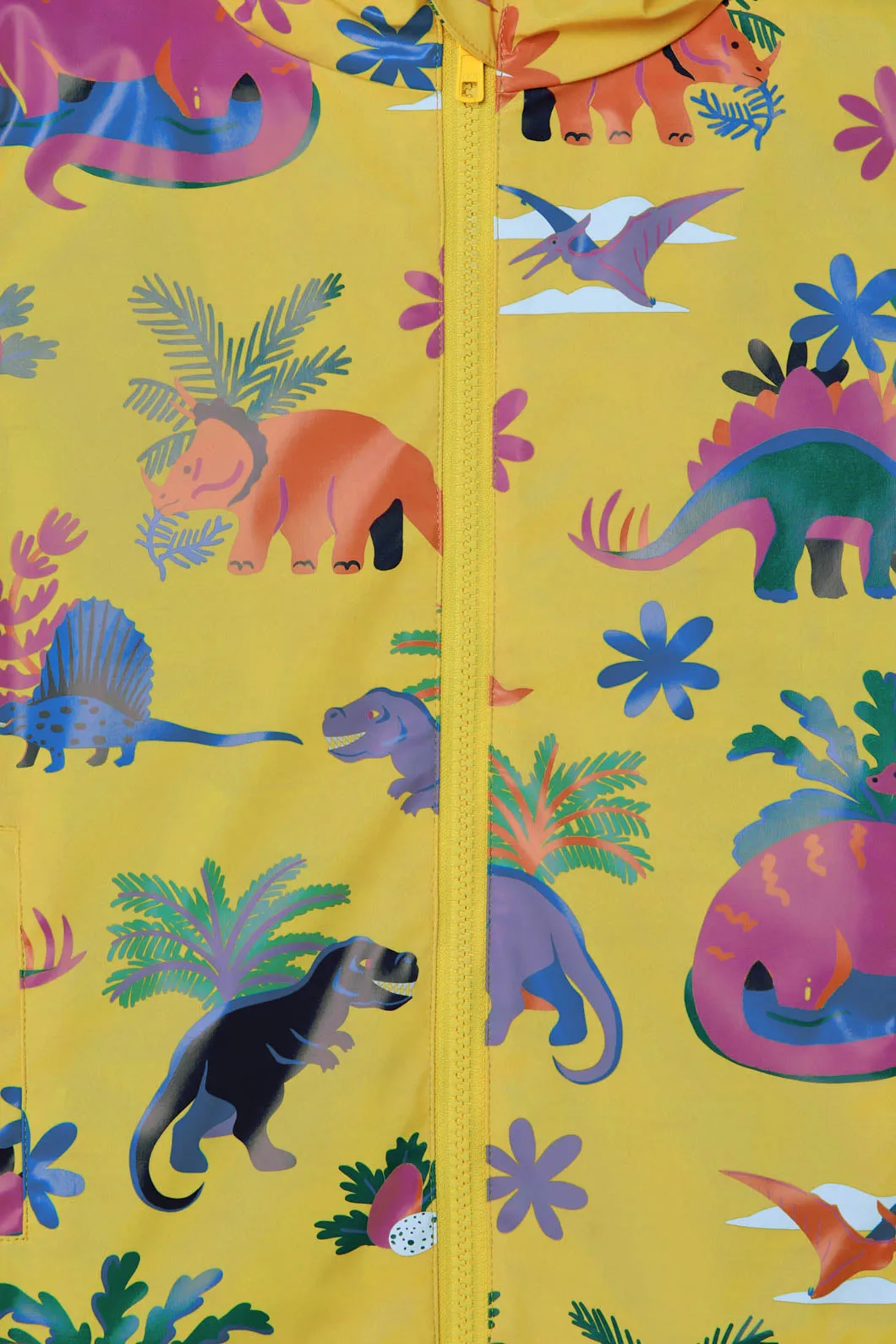 Dinosaur Raincoat