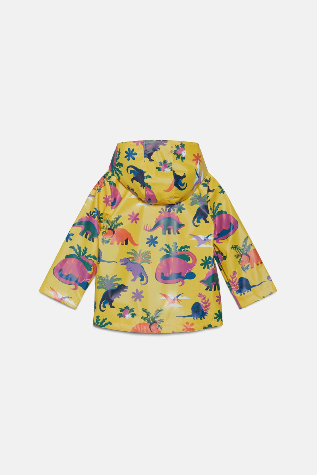 Dinosaur Raincoat