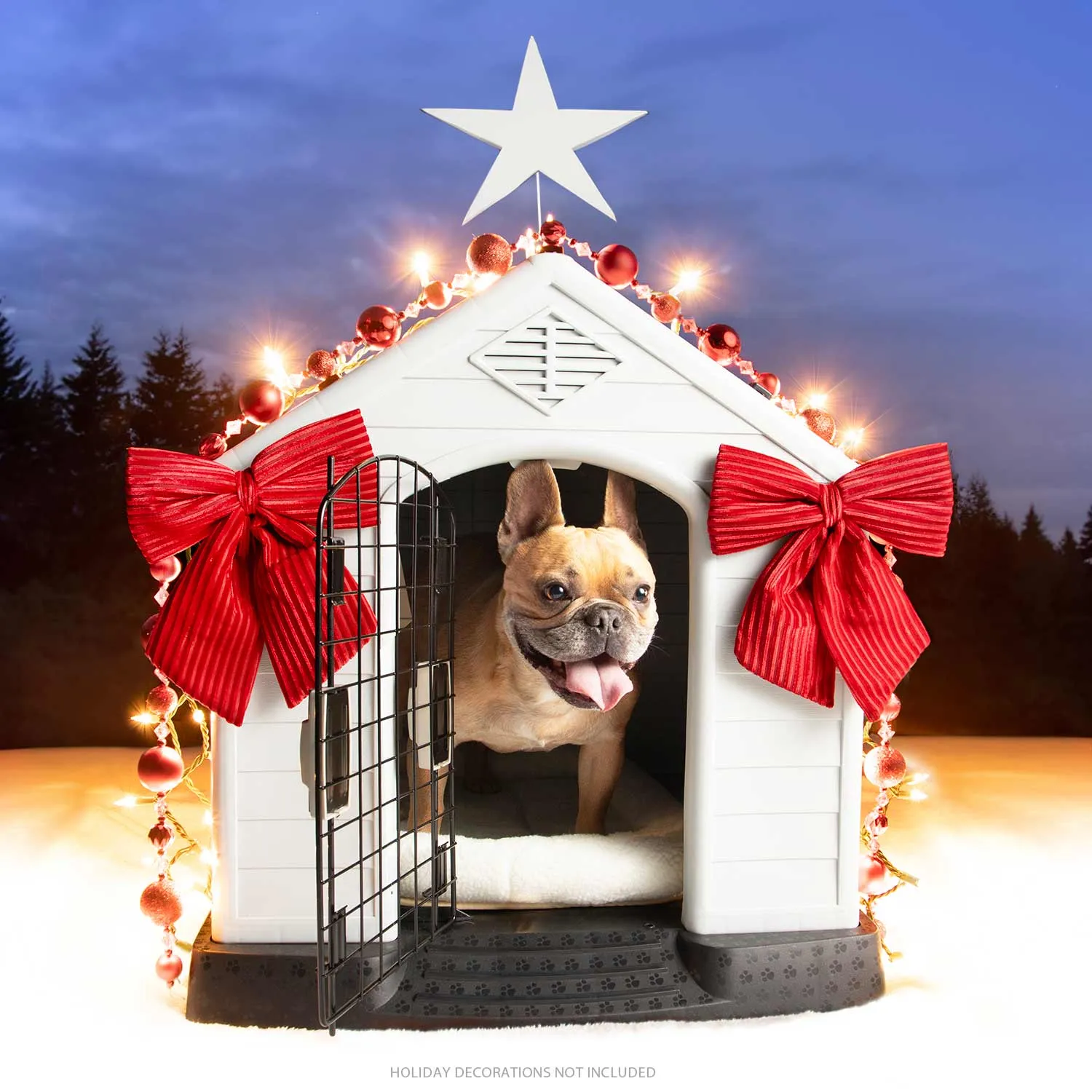 Green Shingle Roof Dog House