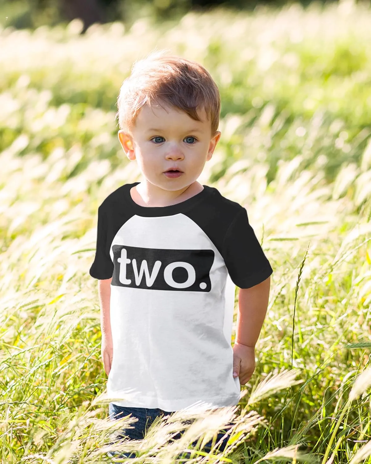 Luke and Lulu 2nd Birthday Shirt Boy - Mouse Themed Short Sleeve Birthday Boy Shirt 2 - Premium 2nd Outfit - Two
