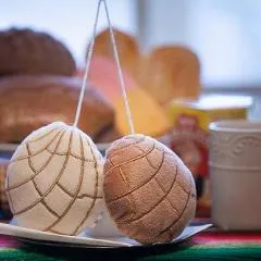 Pan Dulce Fuzzy Balls Conchas and Piggies